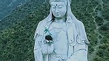这个是我见过最牛的鸟窝了！