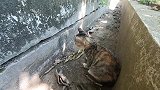 高端的猎人往往以猎物的方式出现