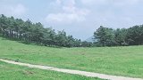 轿顶山上山途中的风景，温润细腻的另一面