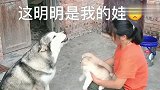 狗子：在鸡腿面前少跟我提什么母子情深，我只要鸡腿