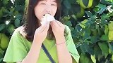 最不能错过的是什么当然是梅州特产的金柚蜜柚啦