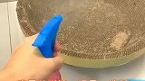 出于对猫咪的负责，一定要及时打扫