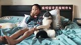 猫咪和孩子一起长大，行为变得越来越像人，连坐姿都一样了