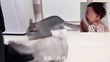 不打，不打就不打，要打你们打，非要带我来打针你们别太过分了啊