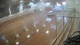 【美国】小学生在体育馆内玩耍 强烈暴风雨险将屋顶掀翻