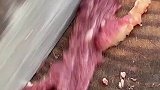 牛肉鲜活会动，大家见状议论纷纷