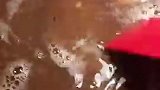 这样做凉冻孩子没吃够，冷藏口感更好喜欢的点一下记住，感谢支持