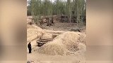 河北邢台发现4座古墓正抢救性挖掘 墓内砖雕样式精美