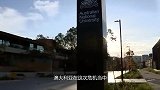 自断财路！继澳洲之后加拿大紧随其后？网友：就这