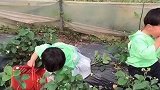 你们这样折腾，下次怕没有老板敢招待了
