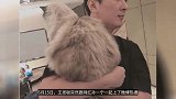 王思聪与孙一宁聊天记录曝光，黑料可不少
