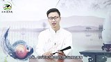 明代一古碑上写着：扯淡，再也不来了，明朝真的有穿越者么