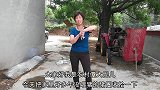 夫妻俩收拾猪圈，柴火堆里发现了啥？真是可恨又可惜