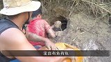 洪水过后，渠道旁边出现大泥洞，小伙一掏这下赚大了！