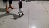 主人在锻炼小猴子独立，小猴子气得连奶瓶都丢了：你不爱我了