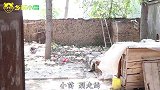 小雪给小苗说了弟弟的事，小苗说了弟弟啥话？让小雪不高兴了