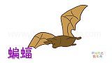 动物简笔画大全，画展翅的蝙蝠简笔画