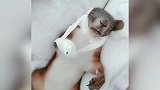 请看下集~