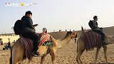 登塔冲沙骑骆驼畅游阿联酋 国足助威团告别之旅处处是惊喜