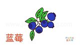 水果简笔画大全，画蓝莓简笔画