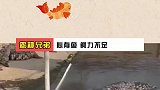 鳄鱼：心有鱼而力不足