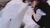 白鲸亲吻小女孩的额头，还闭上了眼睛，太暖心了！