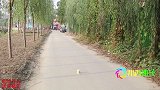 土豆意外捡到“哈哈笑海苔”，没想吃后笑到停不下来，怎么回事