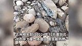 四川一河面再冒气泡气体可燃，水火交融、水面翻滚似沸腾，此前初判为浅层天然气