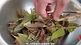 香椿炒鸡蛋，教你最好吃的做法，简单味美又解馋，吃一次念念不忘
