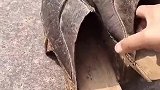 这是北方的鞋子，长得这么奇葩，能有什么用途