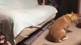 这沙发真的有这么丝滑吗