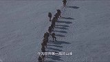 珠穆朗玛峰上最有名的尸体，原地躺了24年，为何无人帮助掩埋？
