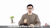 室内有烟味不用开窗，教你一招，抽再多的烟都不怕，方法太棒了