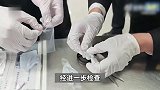 男子肛门藏2.97克毒品入境，行色匆匆试图快速进入人流被查，现场曝光