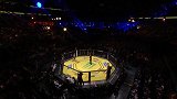 UFC-17年-格斗之夜106自由格斗：盖斯特鲁姆vs亨德里克斯-专题
