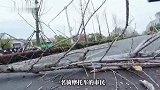 江西一大树突然倒伏横卧马路，一名骑摩托车市民紧急制动避险摔翻在地，当地回应