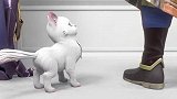峡谷重案组：元芳不愧是孩子，特别喜欢毛绒绒，抱住小猫一顿撸