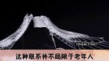 儿童科普 独居会增加精神病风险吗？ 学浪计划