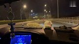 文浩进城了的视频