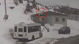 加拿大一头北极熊爬上屋顶 居民被吓一跳