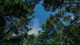 精彩！回顾2020最为精彩的夜空与自然风光