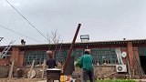 自从知道胡萝可以这样吃，我家1周吃3次，做法简单营养足，好吃
