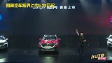 5.39万起，个性入门选择，凯翼炫界正式上市！