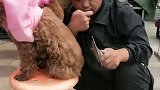 人傻心善良啊给傻哥点赞