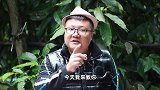 川渝名菜“火爆肥肠”教程来了，大火爆炒12秒，锅里都着了