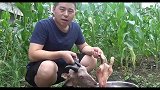 麻辣羊头吃着才叫爽，小厨一次卤2只，老爸幺叔都爱吃，真过瘾