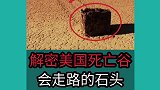 世界奇闻怪事：美国死亡谷会走路的石头