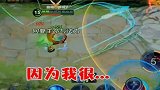 王者荣耀：这一波操作很牛啊