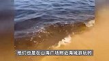 辽宁一海域海水变黑，衣服被海水浸泡后直接变色，自然资源局回应