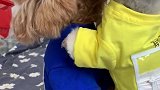 小蓝的心理阴影面积为...